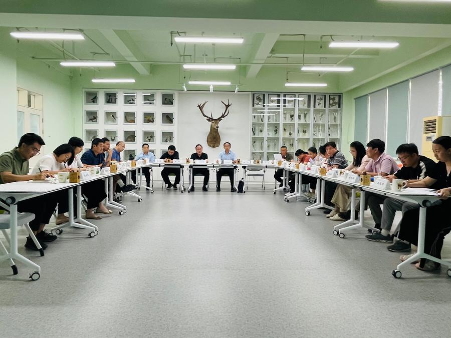 座谈会现场