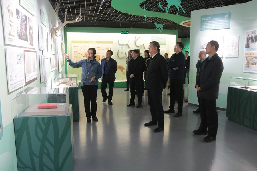 参观《麋鹿传奇展》
