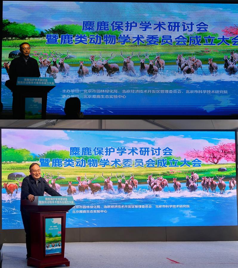 发表讲话