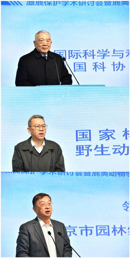 致辞嘉宾