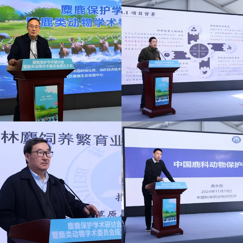 主旨报告1