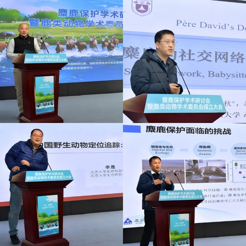 主旨报告2