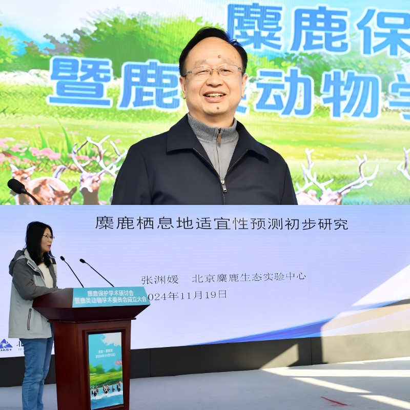 主旨报告3
