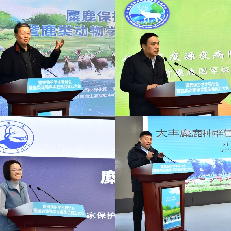 主旨报告4