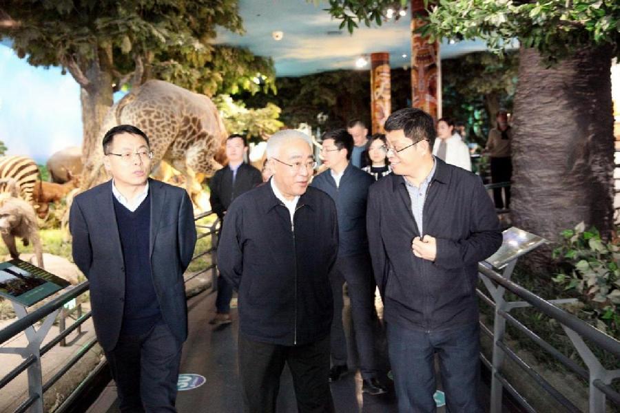 查看展厅