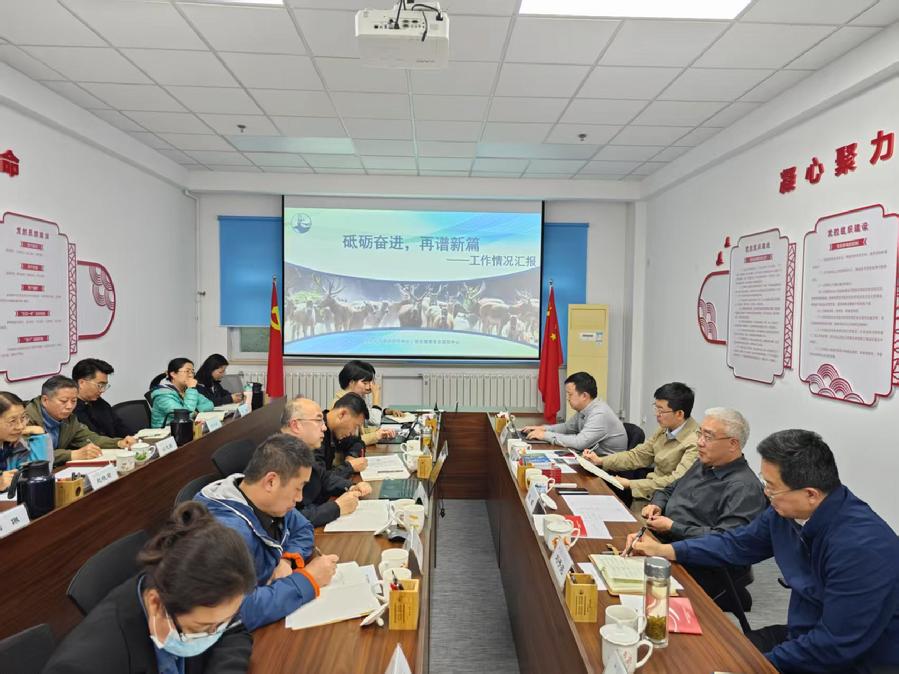 座谈会现场