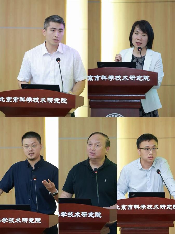 专家报告