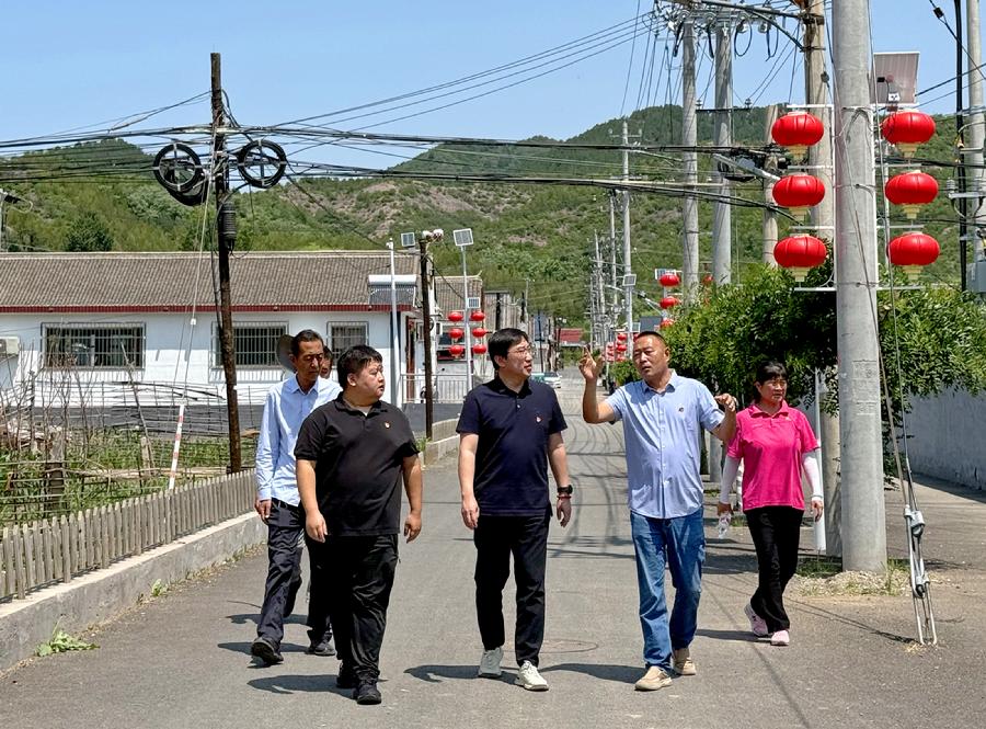 村中参观交流