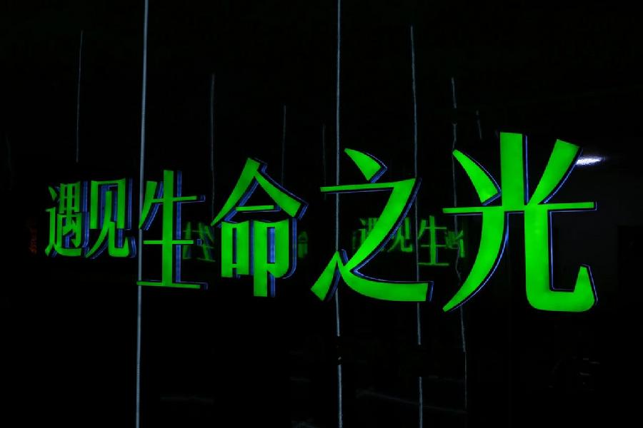 遇见生命之光发光植物微展览