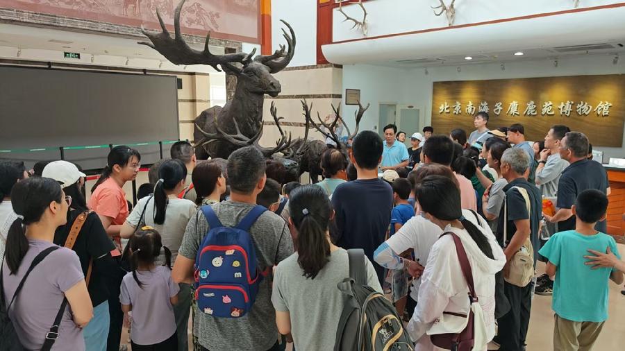 观鹿展