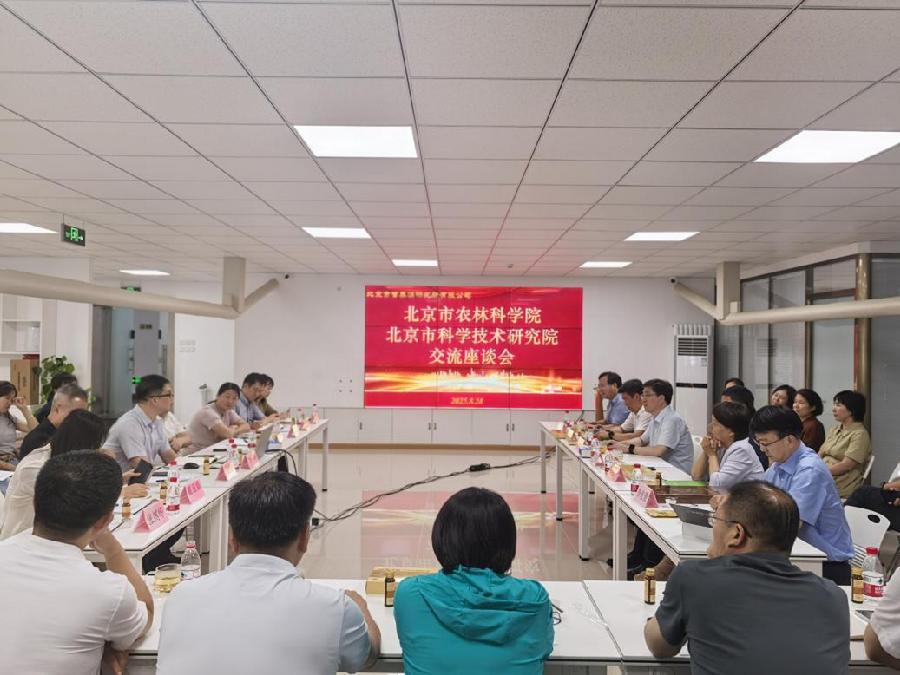 调研座谈现场2