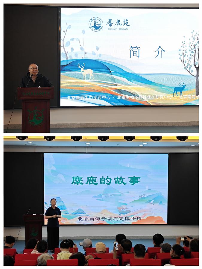 活动现场