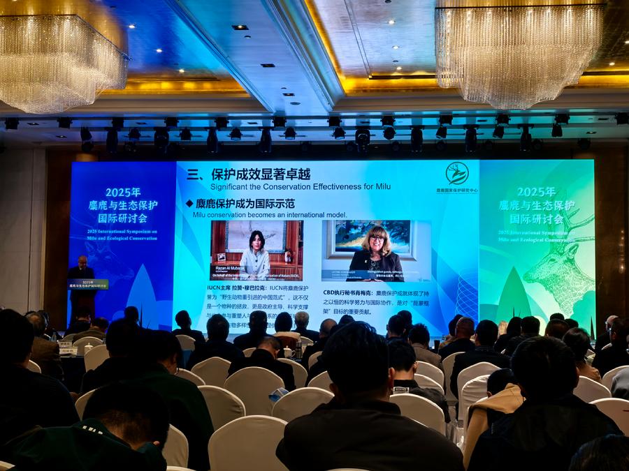 2025年麋鹿与生态保护国际研讨会顺利召开