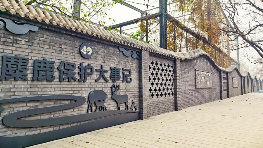 麋鹿保护大事记景墙