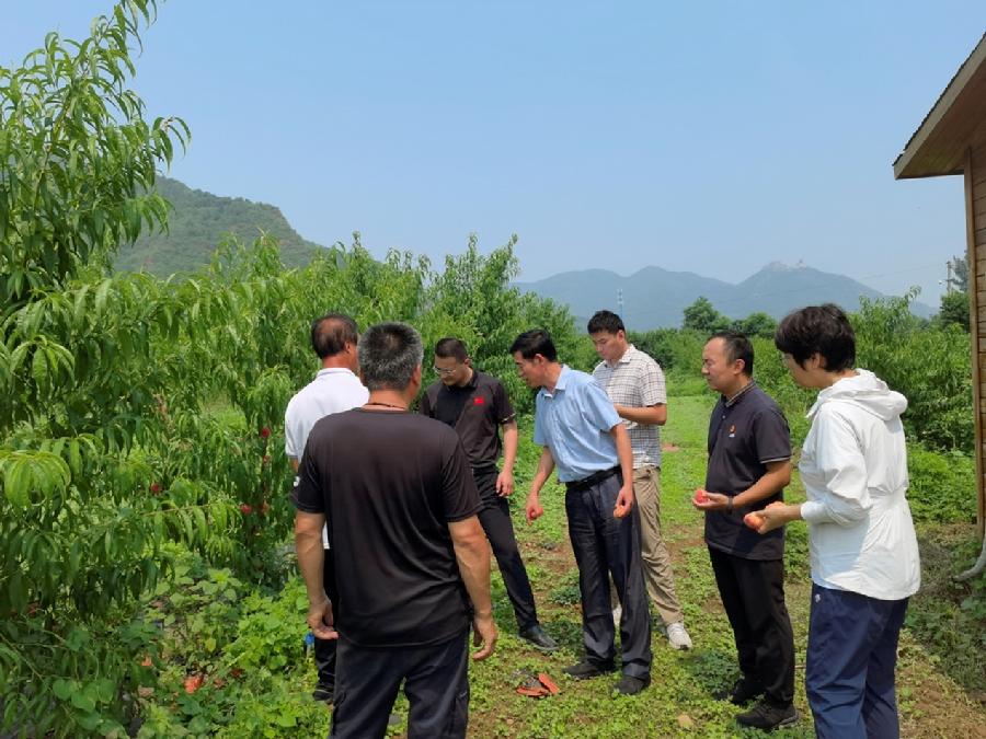 接受专家对松棚村绿色食品认证进行现场检查