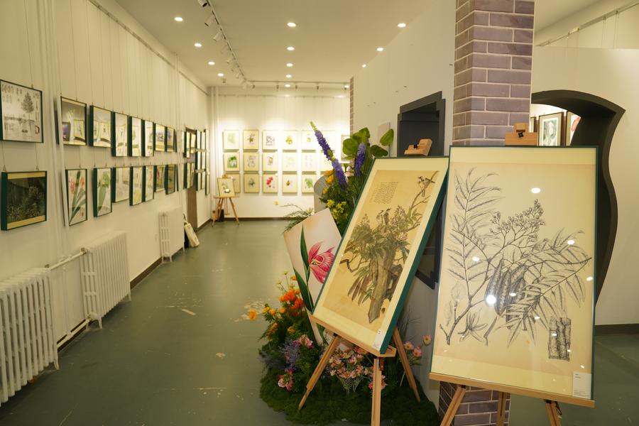 “缅怀巨匠 共探生命之美——首届冯澄如杯科学画展”2