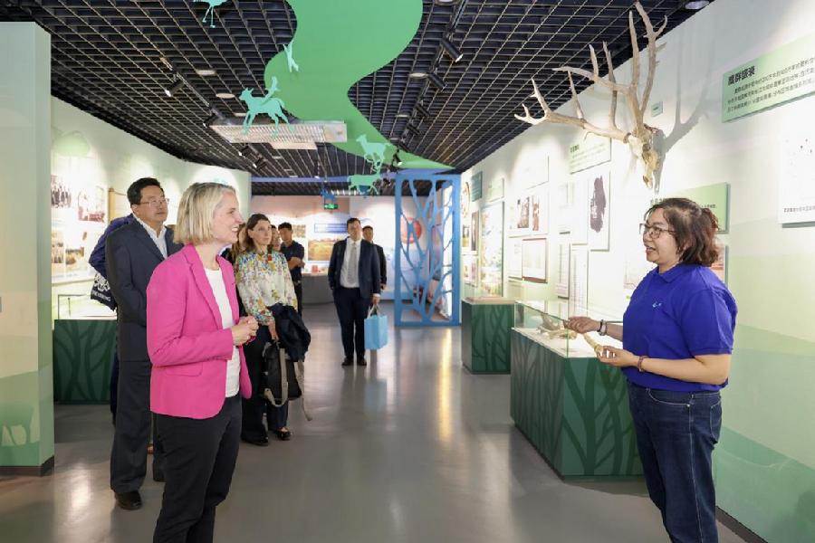 参观“麇鹿传奇”展览