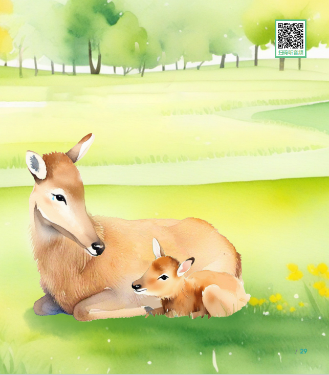 《小宝日记》秋