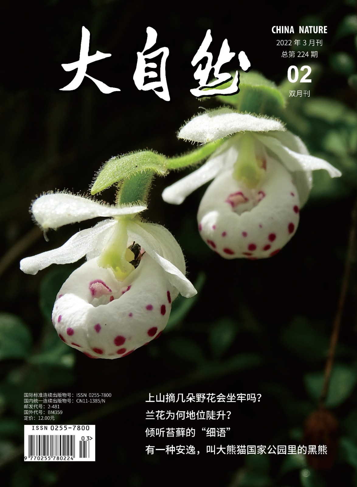 大自然