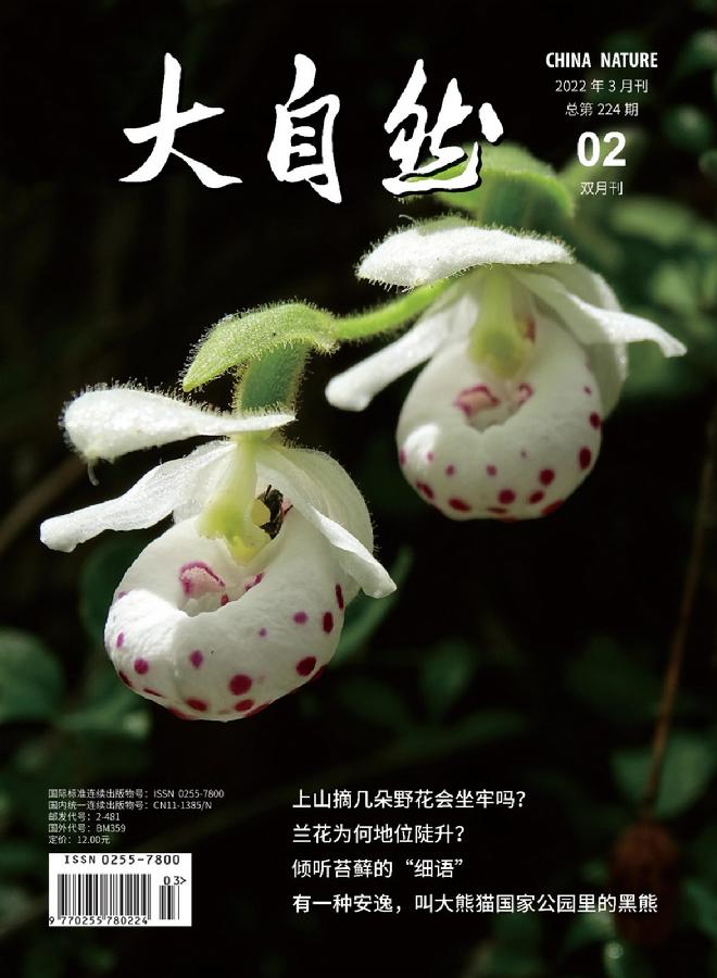 大自然