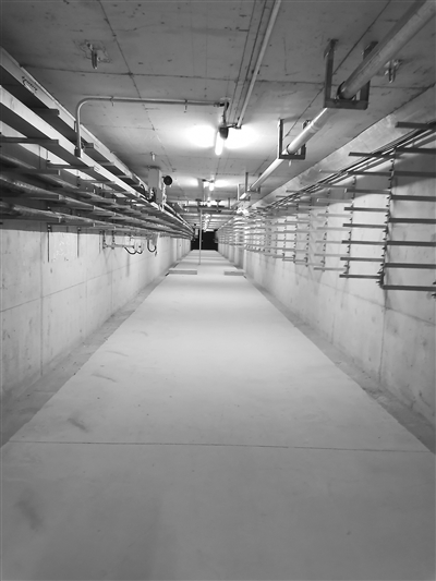 k298-2-1_b.jpg