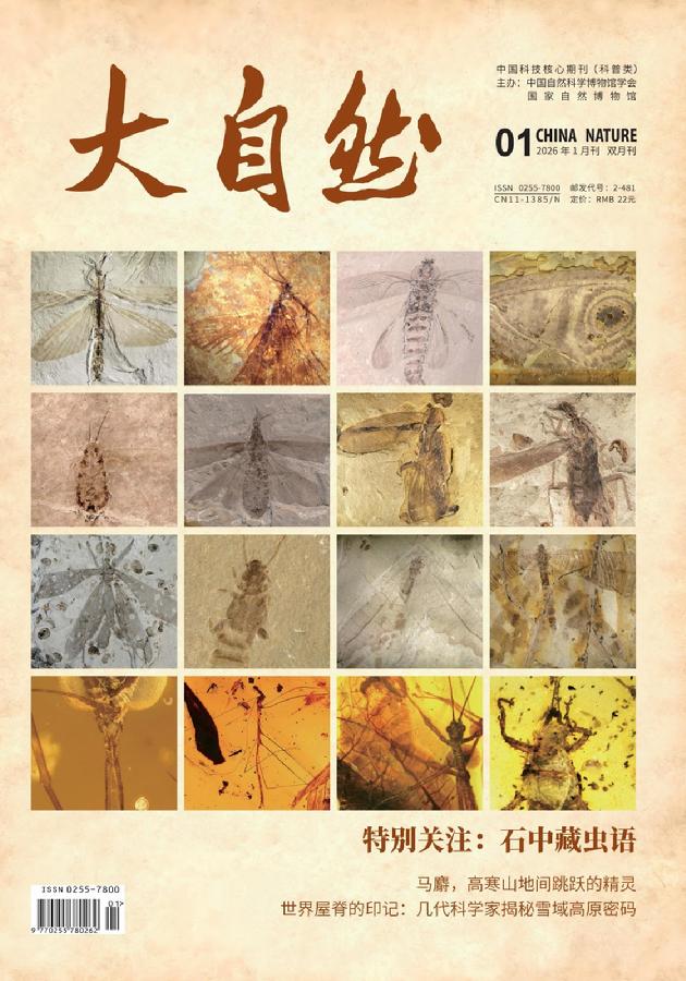 大自然